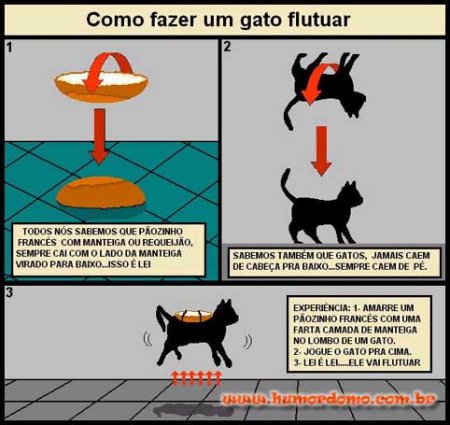 SISTEMA DO GATO SISTEMA DO GATO