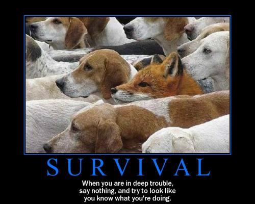 ART OF SURVIVAL