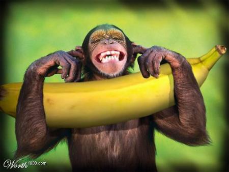 BANANA PARA NOS