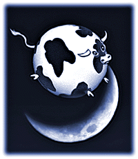 VACA VOA