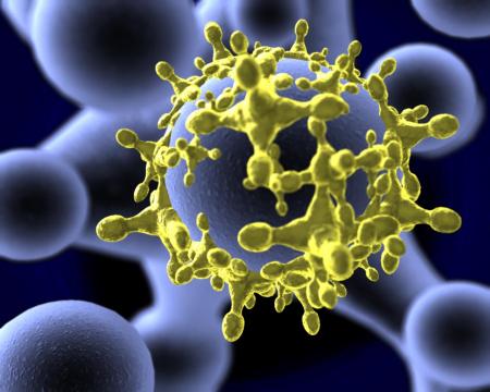 VIRUS
