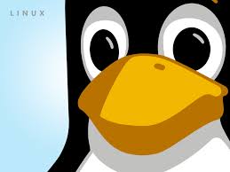 Linux